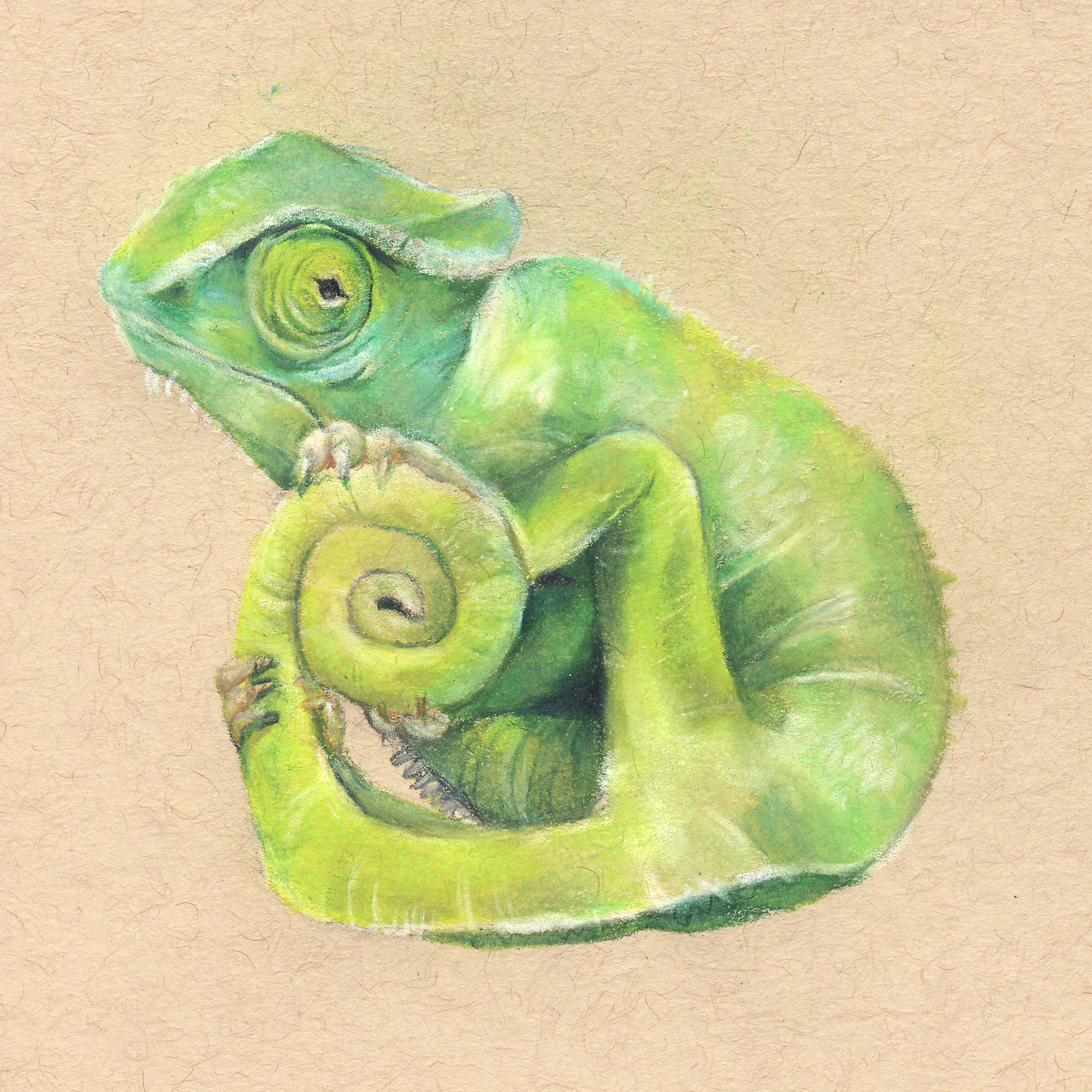 Chameleon Print