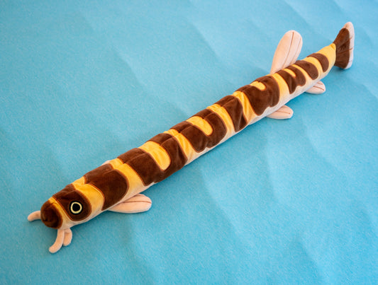 The Loach Approaches