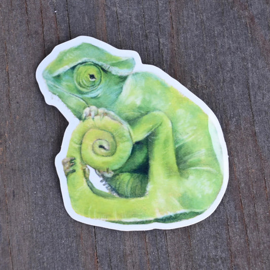 Chameleon Vinyl Sticker