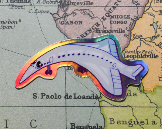 Floppy Concorde Holographic Stickers