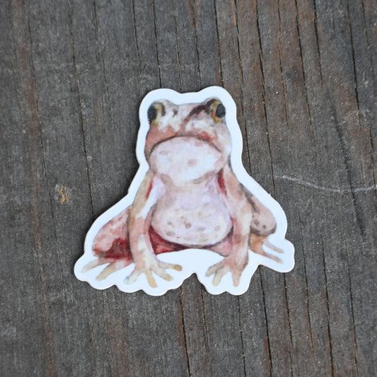 Frog Vinyl Sticker