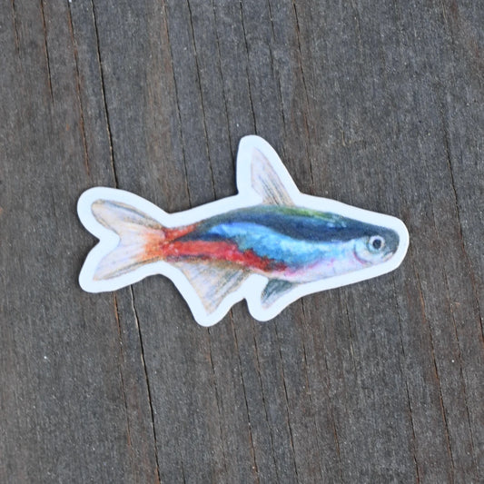 Neon Tetra Vinyl Sticker