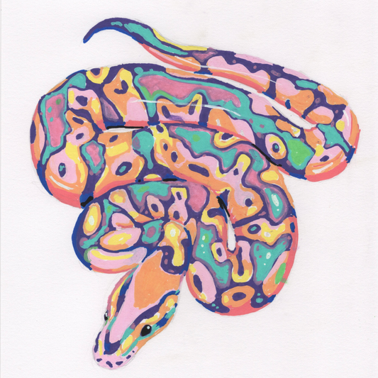 Ball Python Print